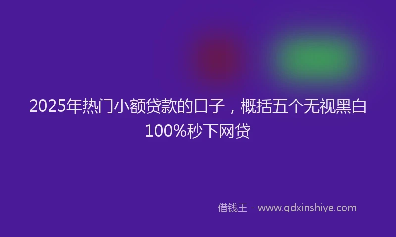 2025年热门小额贷款的口子，概括五个无视黑白100%秒下网贷