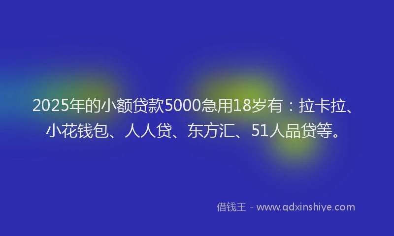 2025年的小额贷款5000急用18岁有：拉卡拉、小花钱包、人人贷、东方汇、51人品贷等。