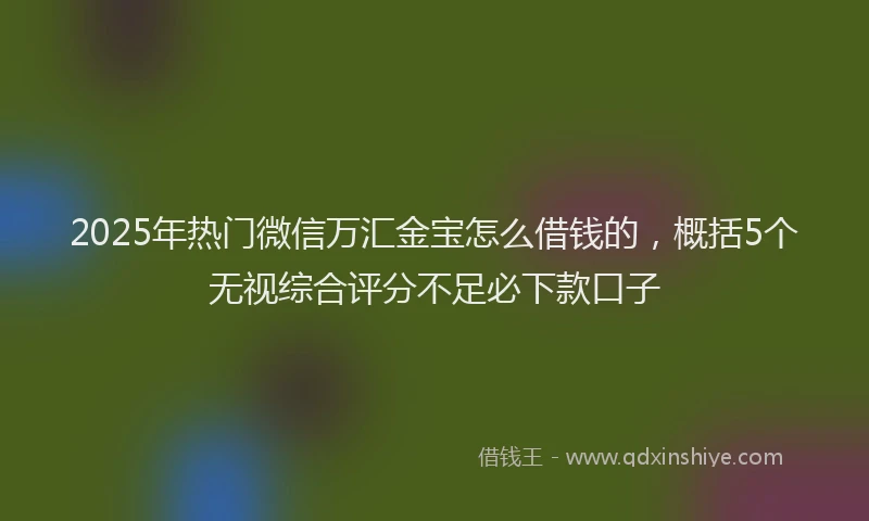 2025年热门微信万汇金宝怎么借钱的，概括5个无视综合评分不足必下款口子