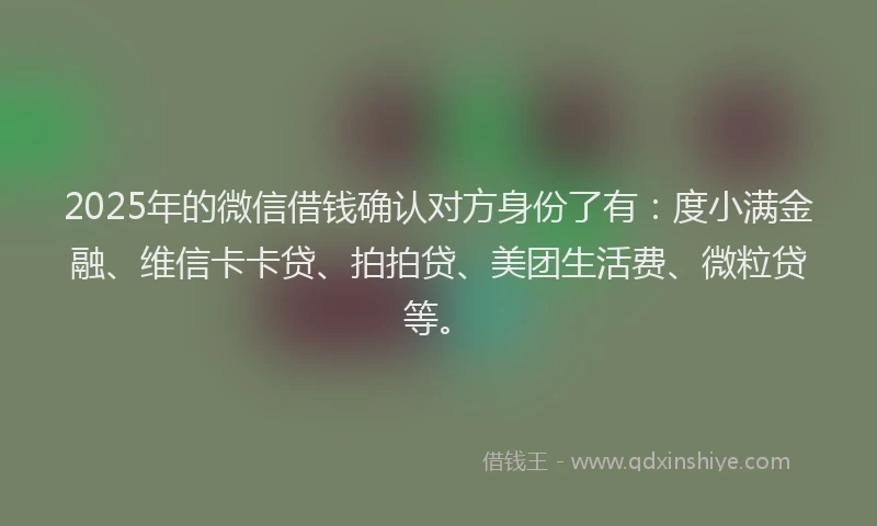 2025年的微信借钱确认对方身份了有：度小满金融、维信卡卡贷、拍拍贷、美团生活费、微粒贷等。