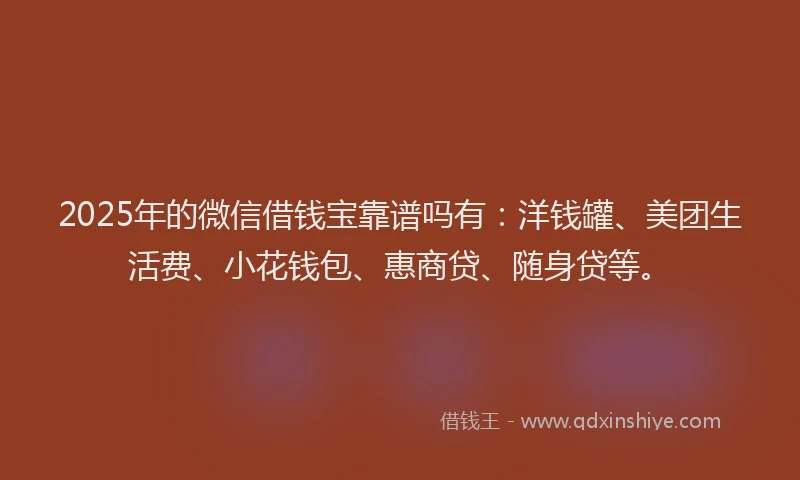 2025年的微信借钱宝靠谱吗有：洋钱罐、美团生活费、小花钱包、惠商贷、随身贷等。
