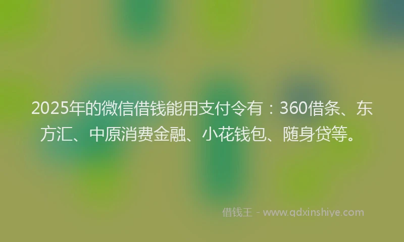 2025年的微信借钱能用支付令有：360借条、东方汇、中原消费金融、小花钱包、随身贷等。