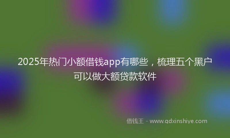 2025年热门小额借钱app有哪些，梳理五个黑户可以做大额贷款软件