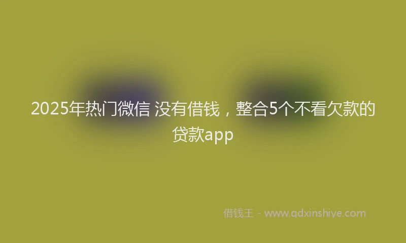 2025年热门微信 没有借钱，整合5个不看欠款的贷款app