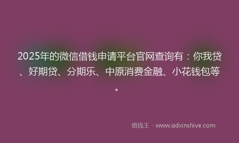 2025年的微信借钱申请平台官网查询有：你我贷、好期贷、分期乐、中原消费金融、小花钱包等。