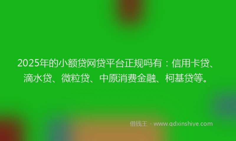 2025年的小额贷网贷平台正规吗有：信用卡贷、滴水贷、微粒贷、中原消费金融、柯基贷等。