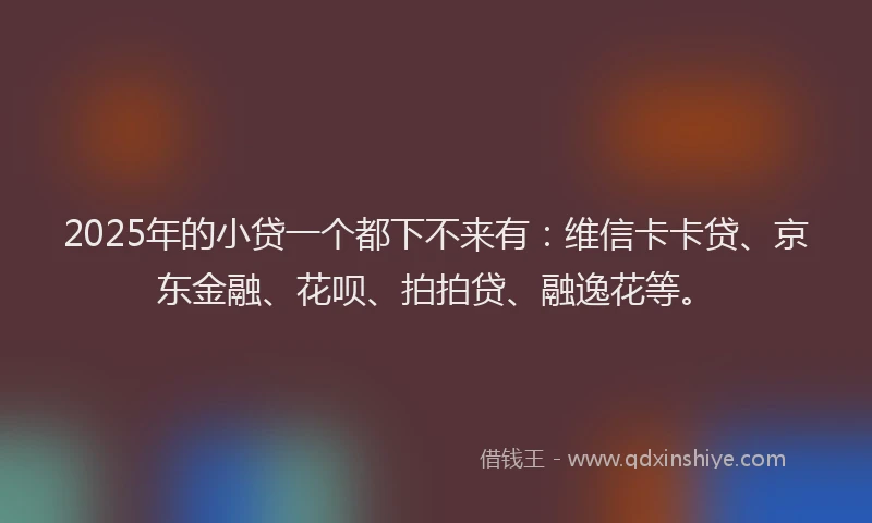 2025年的小贷一个都下不来有：维信卡卡贷、京东金融、花呗、拍拍贷、融逸花等。