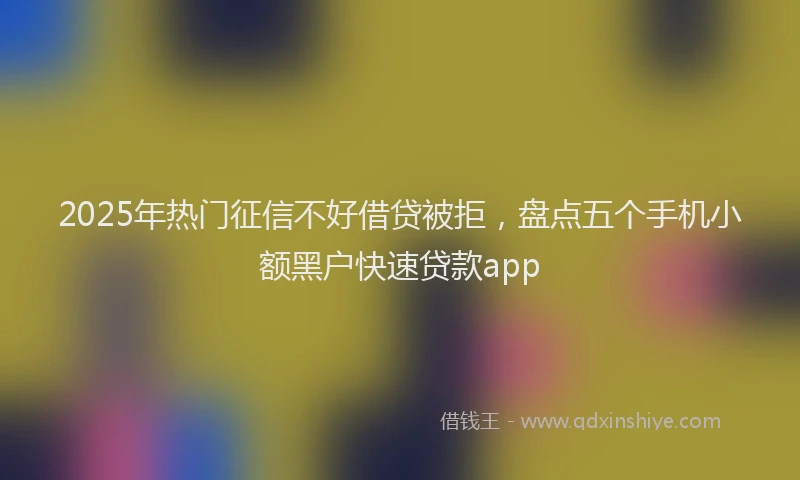 2025年热门征信不好借贷被拒，盘点五个手机小额黑户快速贷款app