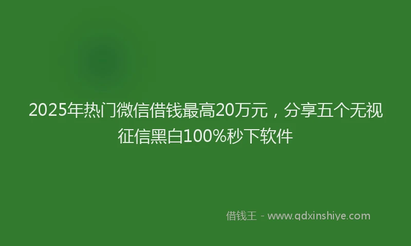2025年热门微信借钱最高20万元，分享五个无视征信黑白100%秒下软件