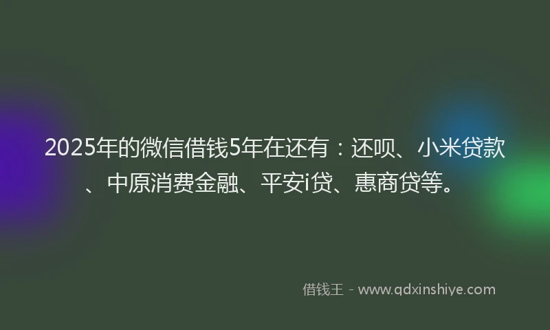 2025年的微信借钱5年在还有：还呗、小米贷款、中原消费金融、平安i贷、惠商贷等。