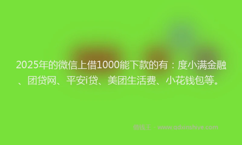 2025年的微信上借1000能下款的有：度小满金融、团贷网、平安i贷、美团生活费、小花钱包等。
