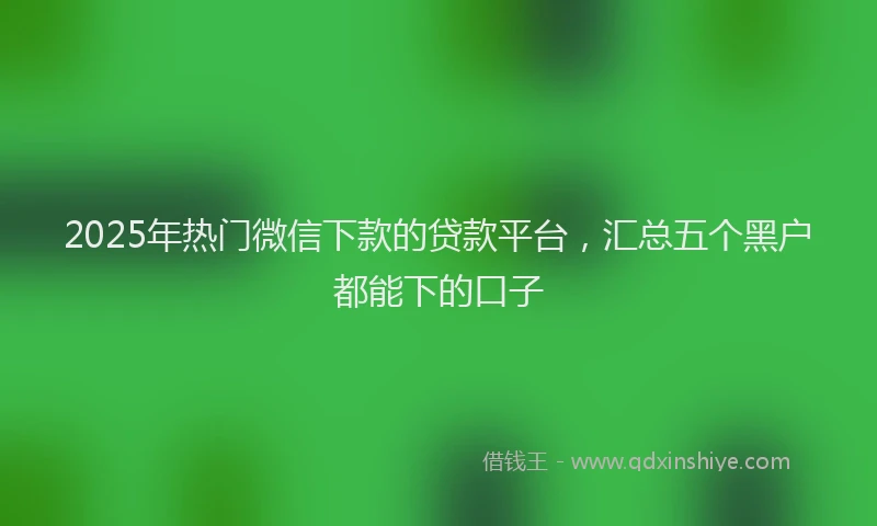 2025年热门微信下款的贷款平台，汇总五个黑户都能下的口子