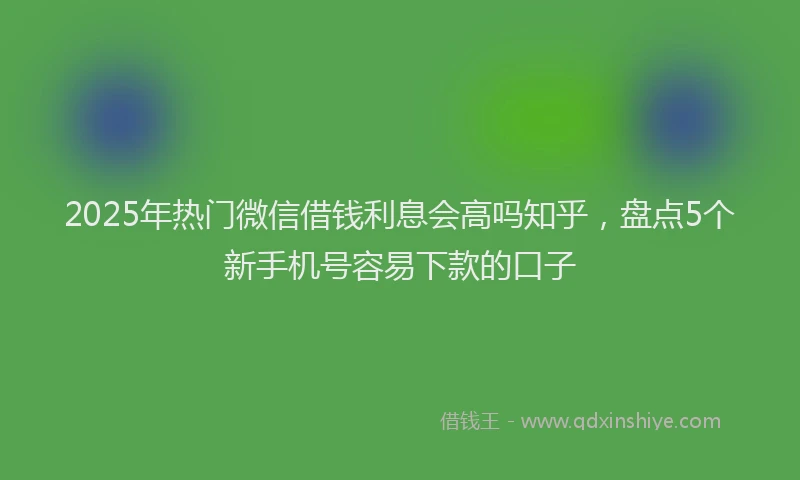 2025年热门微信借钱利息会高吗知乎，盘点5个新手机号容易下款的口子