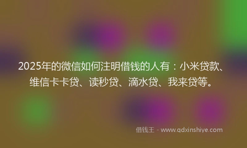 2025年的微信如何注明借钱的人有：小米贷款、维信卡卡贷、读秒贷、滴水贷、我来贷等。