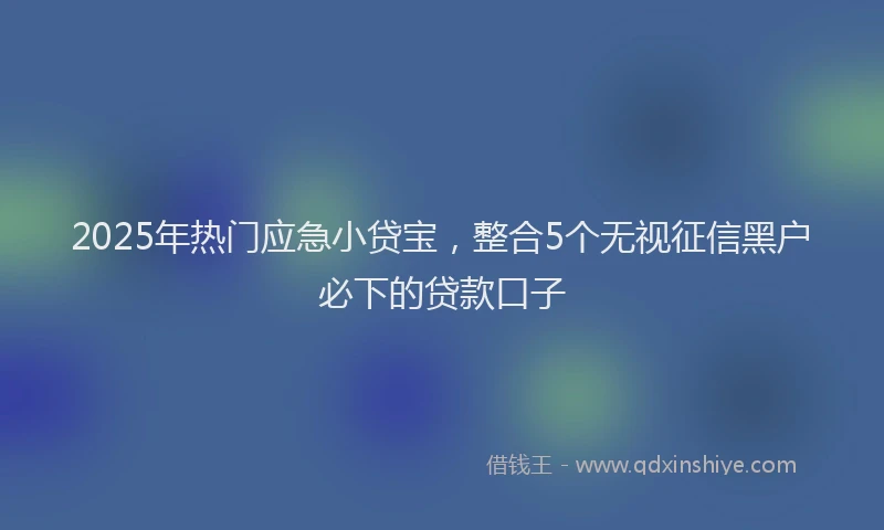2025年热门应急小贷宝，整合5个无视征信黑户必下的贷款口子