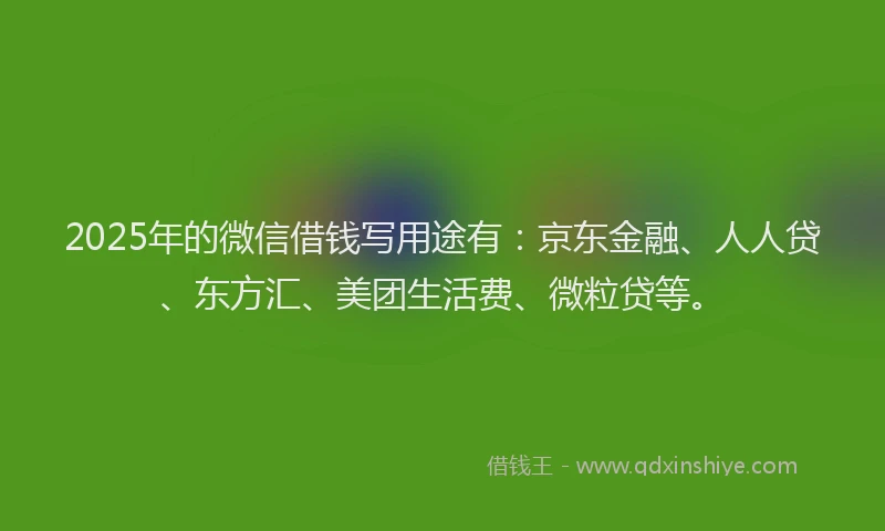 2025年的微信借钱写用途有：京东金融、人人贷、东方汇、美团生活费、微粒贷等。