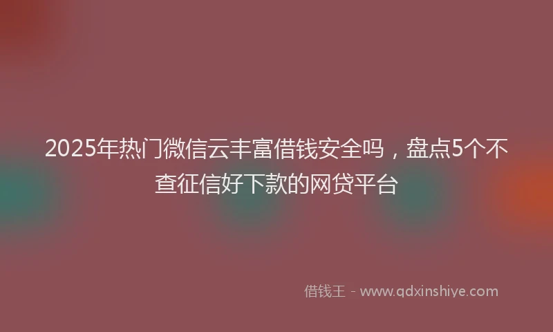 2025年热门微信云丰富借钱安全吗，盘点5个不查征信好下款的网贷平台
