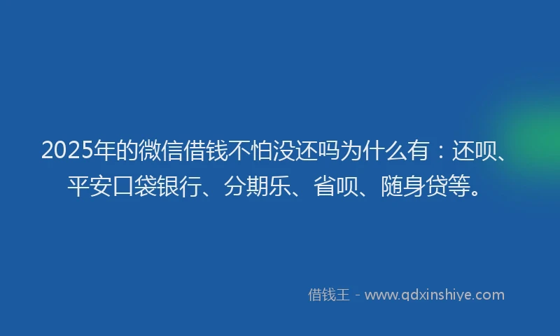 2025年的微信借钱不怕没还吗为什么有：还呗、平安口袋银行、分期乐、省呗、随身贷等。