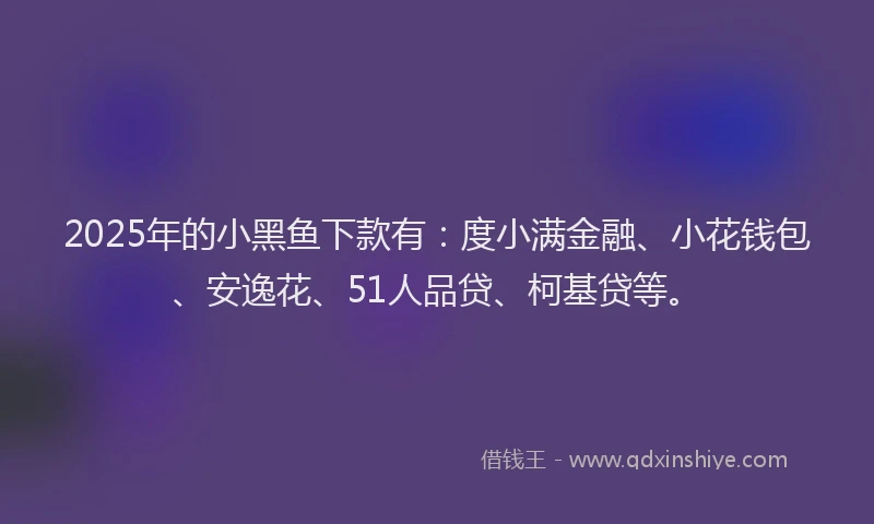 2025年的小黑鱼下款有：度小满金融、小花钱包、安逸花、51人品贷、柯基贷等。