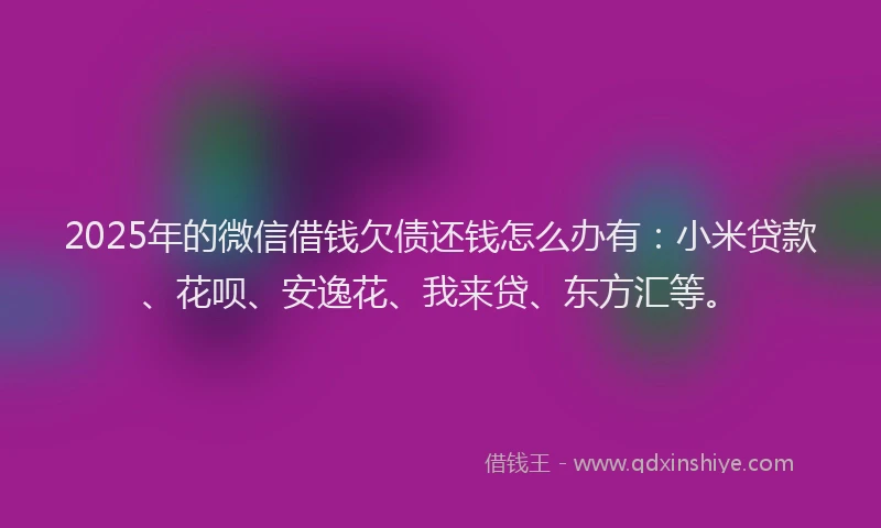 2025年的微信借钱欠债还钱怎么办有：小米贷款、花呗、安逸花、我来贷、东方汇等。