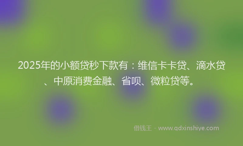 2025年的小额贷秒下款有：维信卡卡贷、滴水贷、中原消费金融、省呗、微粒贷等。