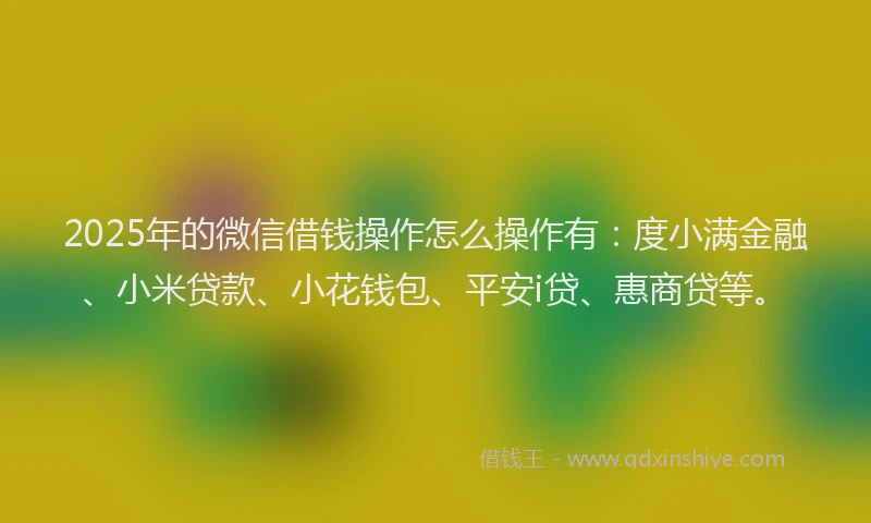 2025年的微信借钱操作怎么操作有：度小满金融、小米贷款、小花钱包、平安i贷、惠商贷等。