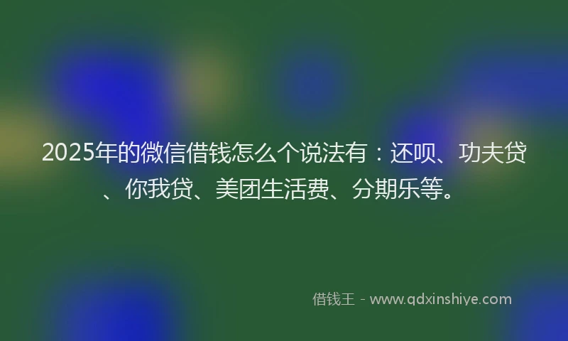 2025年的微信借钱怎么个说法有：还呗、功夫贷、你我贷、美团生活费、分期乐等。