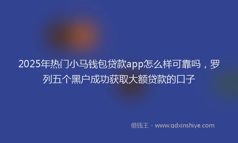 2025年热门小马钱包贷款app怎么样可靠吗，罗列五个黑户成功获取大额贷款的口子