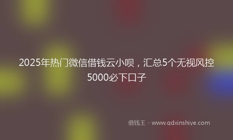2025年热门微信借钱云小呗，汇总5个无视风控5000必下口子