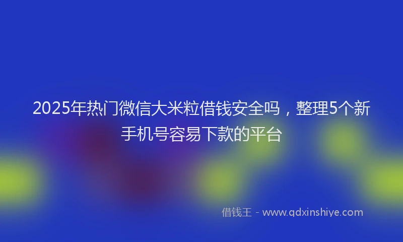 2025年热门微信大米粒借钱安全吗，整理5个新手机号容易下款的平台
