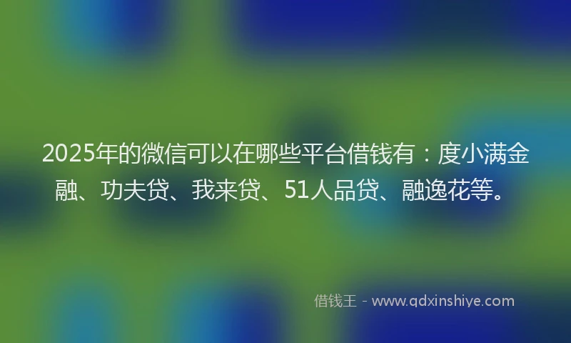 2025年的微信可以在哪些平台借钱有：度小满金融、功夫贷、我来贷、51人品贷、融逸花等。