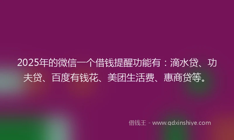 2025年的微信一个借钱提醒功能有：滴水贷、功夫贷、百度有钱花、美团生活费、惠商贷等。