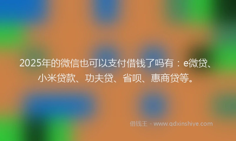 2025年的微信也可以支付借钱了吗有：e微贷、小米贷款、功夫贷、省呗、惠商贷等。