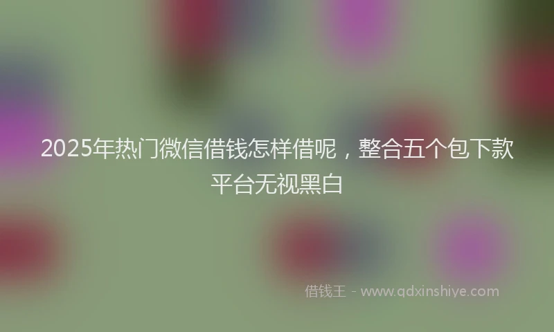 2025年热门微信借钱怎样借呢，整合五个包下款平台无视黑白