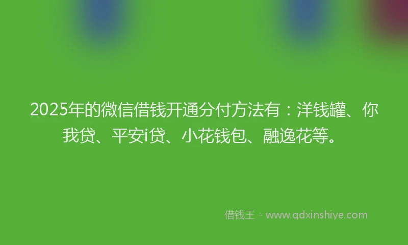 2025年的微信借钱开通分付方法有：洋钱罐、你我贷、平安i贷、小花钱包、融逸花等。