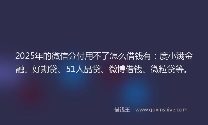 2025年的微信分付用不了怎么借钱有：度小满金融、好期贷、51人品贷、微博借钱、微粒贷等。
