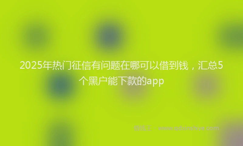 2025年热门征信有问题在哪可以借到钱，汇总5个黑户能下款的app