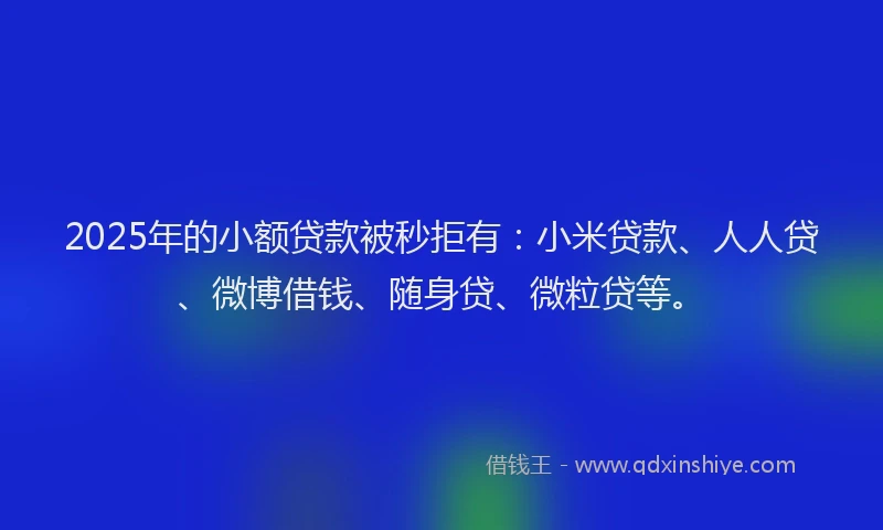 2025年的小额贷款被秒拒有：小米贷款、人人贷、微博借钱、随身贷、微粒贷等。