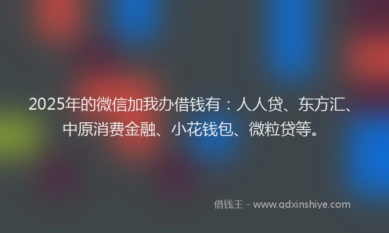 2025年的微信加我办借钱有：人人贷、东方汇、中原消费金融、小花钱包、微粒贷等。