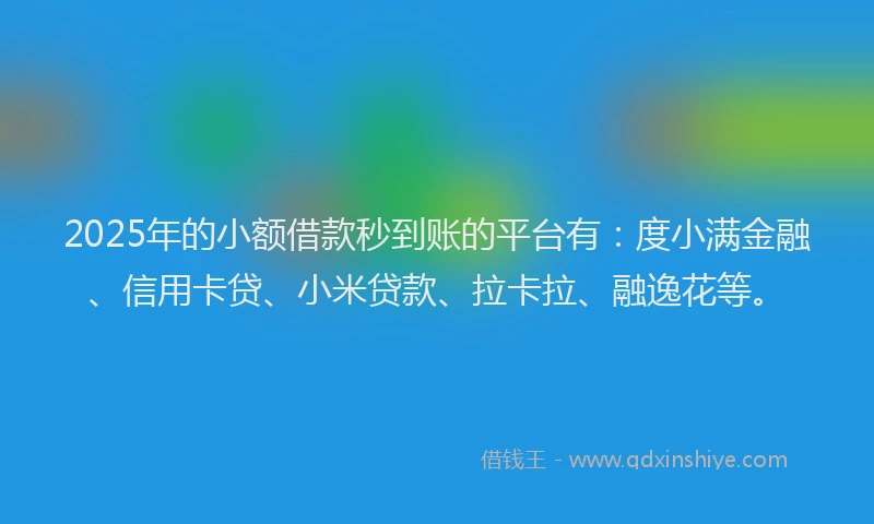 2025年的小额借款秒到账的平台有：度小满金融、信用卡贷、小米贷款、拉卡拉、融逸花等。