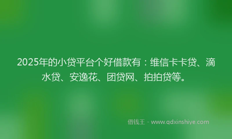 2025年的小贷平台个好借款有：维信卡卡贷、滴水贷、安逸花、团贷网、拍拍贷等。