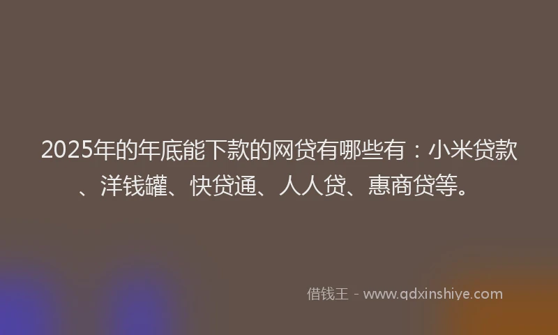 2025年的年底能下款的网贷有哪些有：小米贷款、洋钱罐、快贷通、人人贷、惠商贷等。