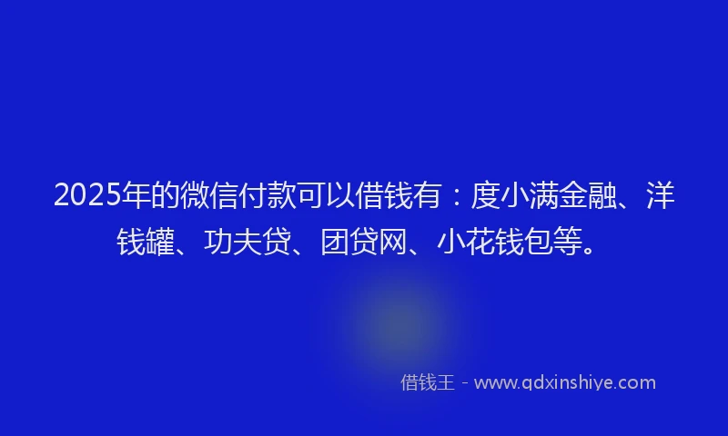 2025年的微信付款可以借钱有：度小满金融、洋钱罐、功夫贷、团贷网、小花钱包等。