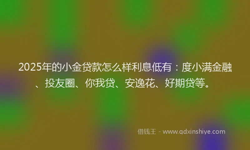 2025年的小金贷款怎么样利息低有：度小满金融、投友圈、你我贷、安逸花、好期贷等。