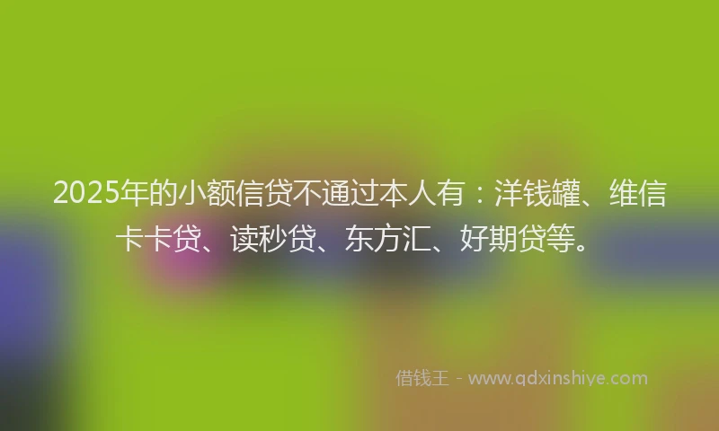 2025年的小额信贷不通过本人有：洋钱罐、维信卡卡贷、读秒贷、东方汇、好期贷等。