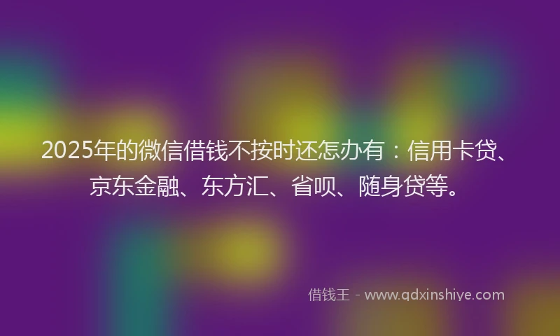2025年的微信借钱不按时还怎办有：信用卡贷、京东金融、东方汇、省呗、随身贷等。