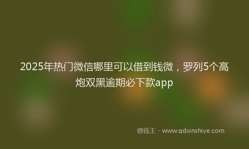 2025年热门微信哪里可以借到钱微，罗列5个高炮双黑逾期必下款app