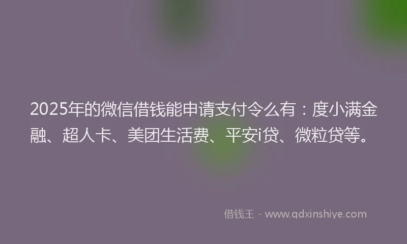 2025年的微信借钱能申请支付令么有：度小满金融、超人卡、美团生活费、平安i贷、微粒贷等。