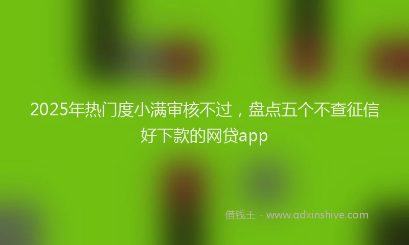 2025年热门度小满审核不过，盘点五个不查征信好下款的网贷app