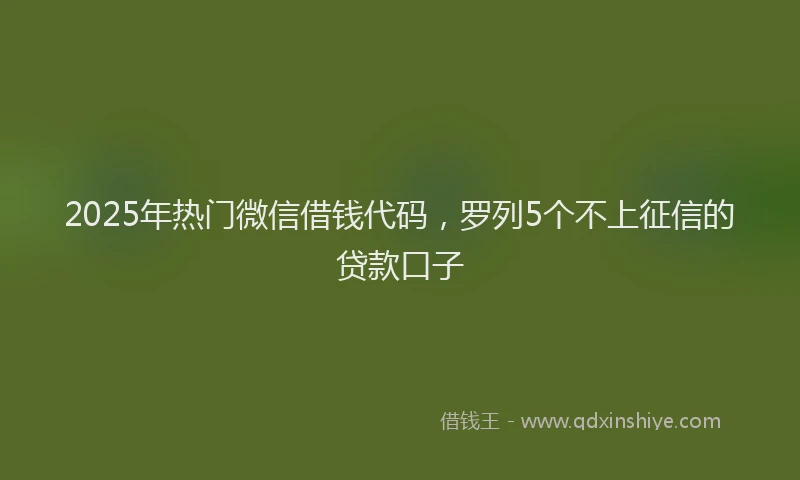 2025年热门微信借钱代码，罗列5个不上征信的贷款口子
